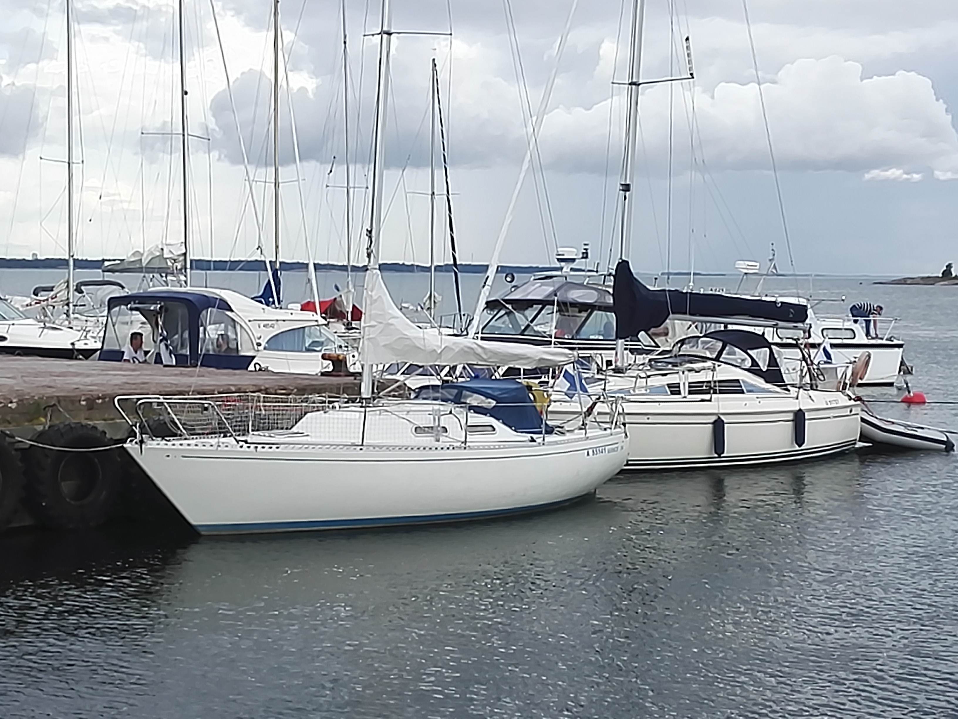 Avance 24 Purjevene